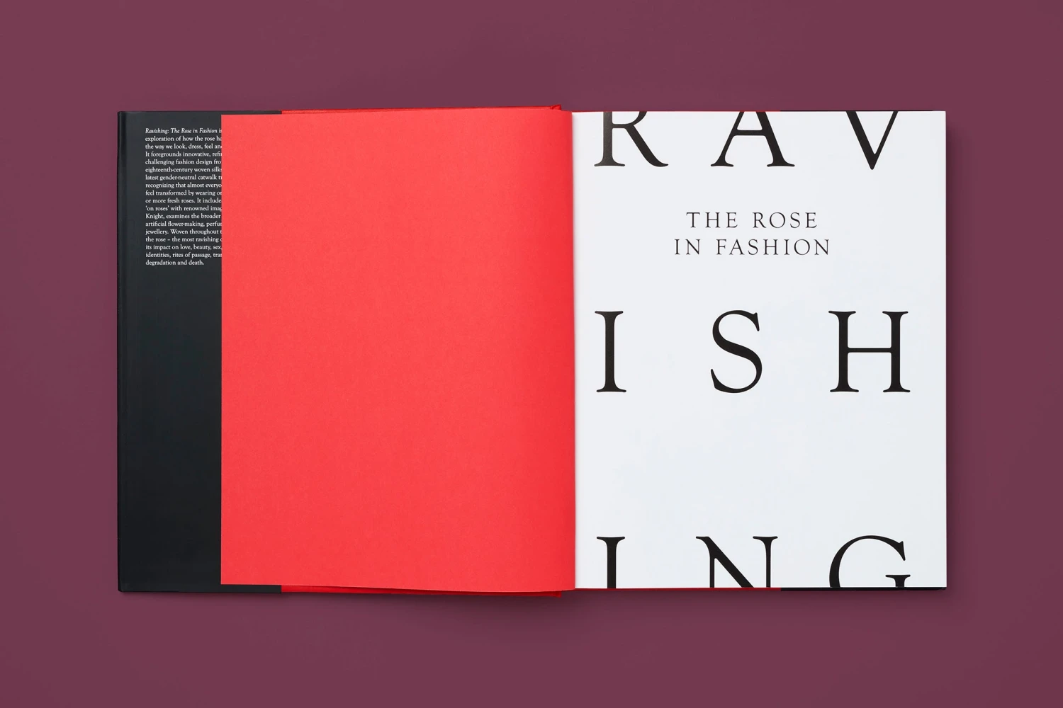 The Rose In Fashion: Ravishing, Amy De La Haye 2 The Rose In Fashion: Ravishing, Amy De La Haye - Image 2