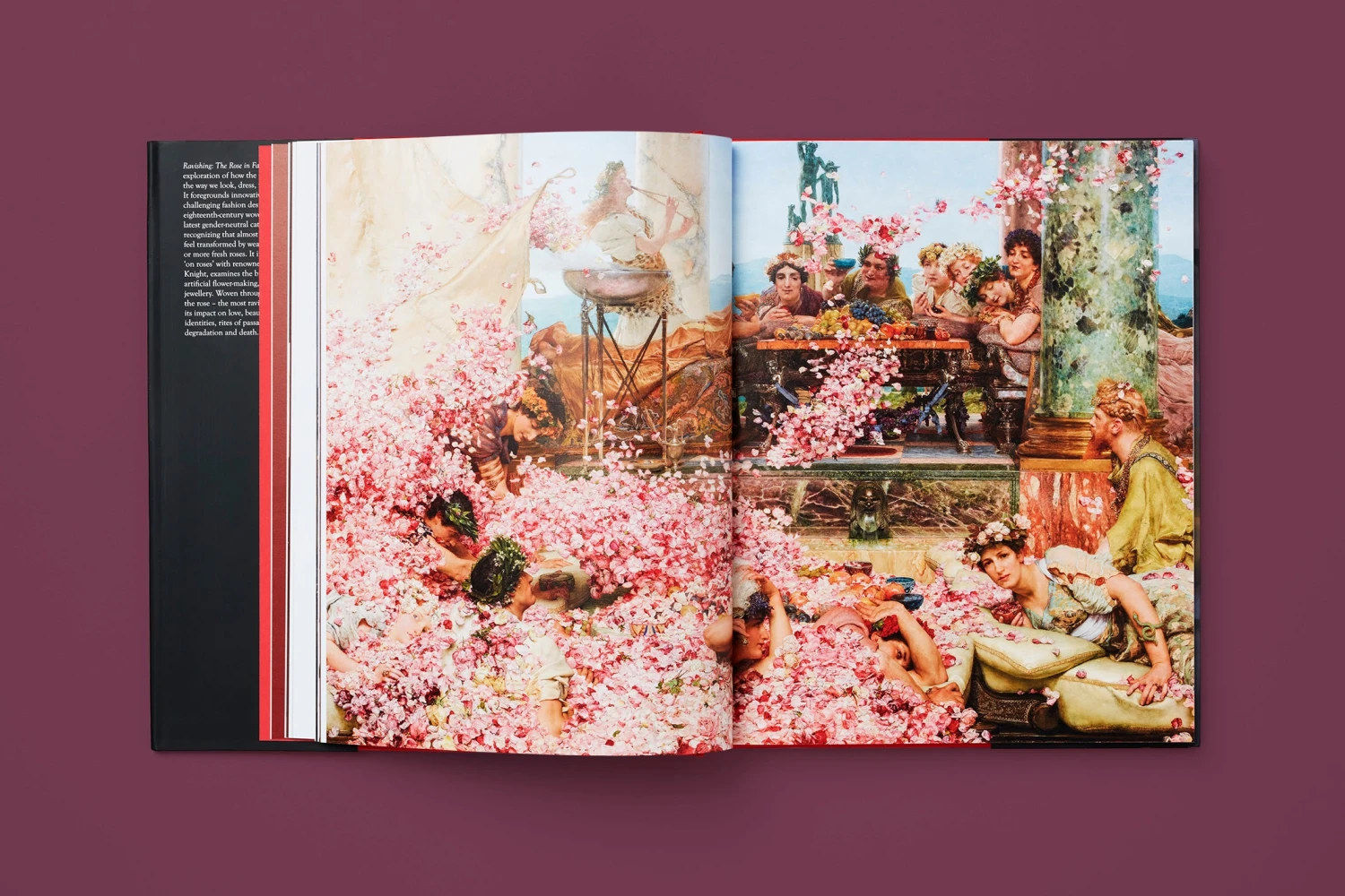 The Rose In Fashion: Ravishing, Amy De La Haye 6 The Rose In Fashion: Ravishing, Amy De La Haye - Image 6