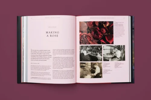 The Rose In Fashion: Ravishing, Amy De La Haye -Magazine World charliesmithdesign yale the rose book 9