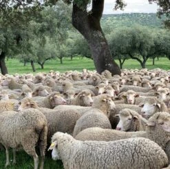 Issue 108 Farm -Magazine World gif1