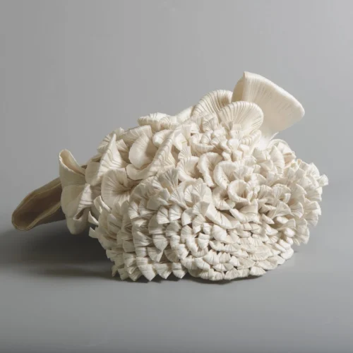 Issue 122 Winter White 19 Issue 122 Winter White -Magazine World mushroom 1 5487ab6b 8d88 4df7 862f 7d5830940330 scaled