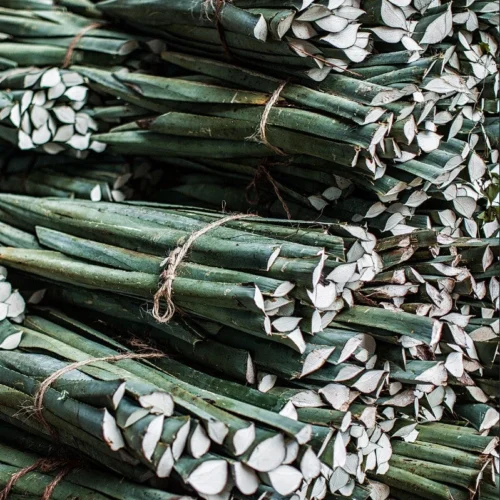 Issue 113 Raw 24 Issue 113 Raw -Magazine World sel 1