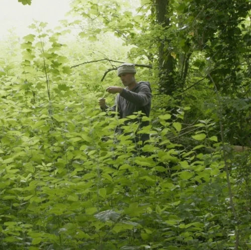 Issue 113 Raw 28 Issue 113 Raw -Magazine World sel 9